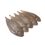 Sole fish